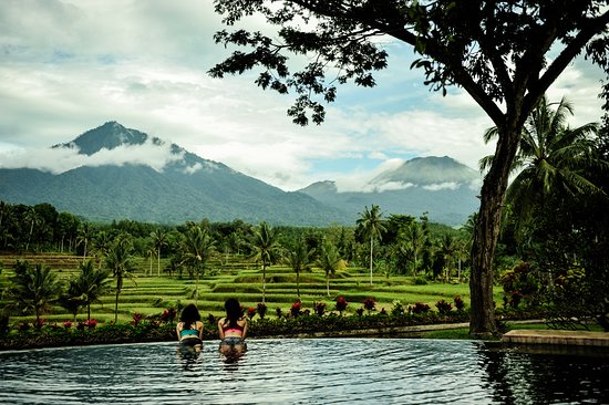 ijen resort villas banyuwangi penginapan dekat kawah ijen