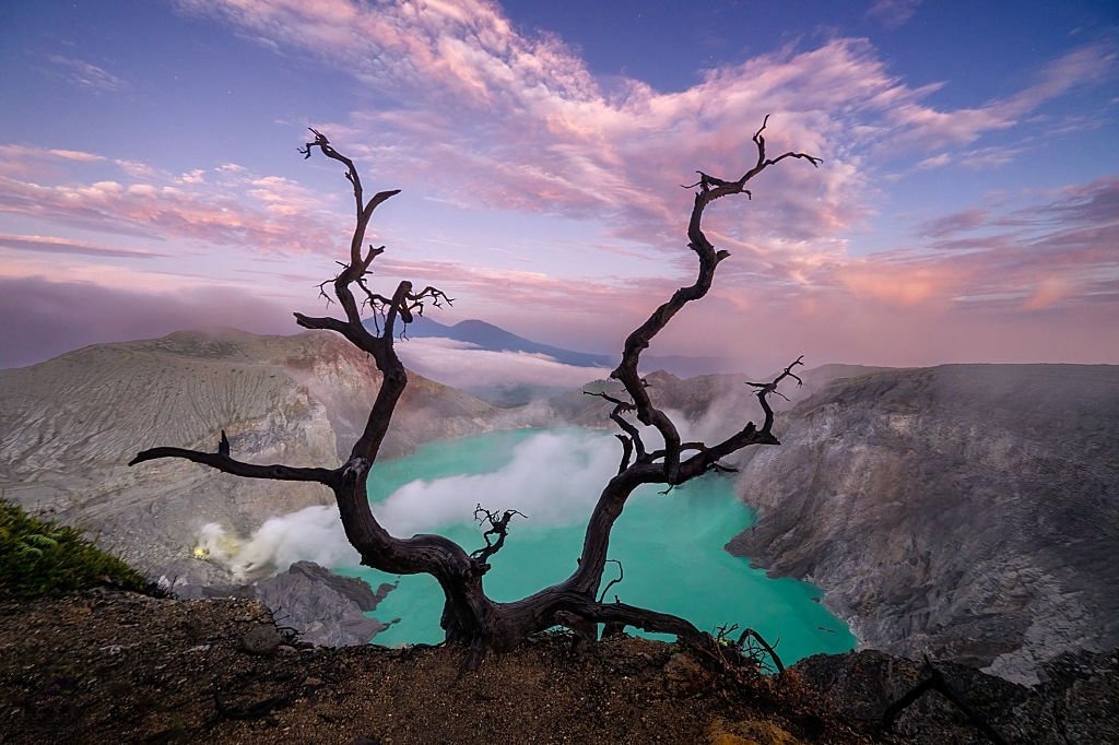 Area pohon mati di jalur Kawah Ijen